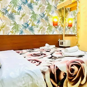 Green Guesthouse Rom